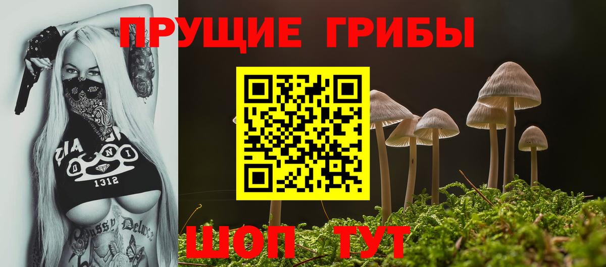 Псилоцибиновые грибы Psilocybe Усть-Илимск