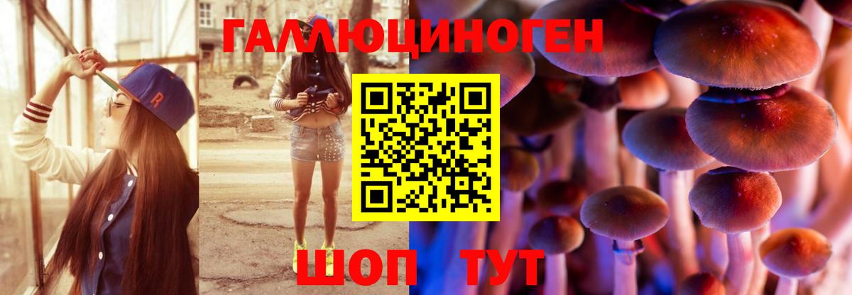 Галлюциногенные грибы Magic Shrooms  цены   Галлюциногенные грибы MAGIC MUSHROOMS  Усть-Илимск  Вход с VPN 